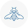 Bee Nest Removal Lincoln