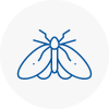 Moth Control Specialists In Lincoln